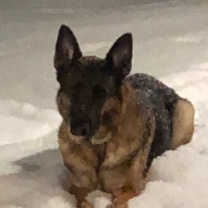 Meet your Posher, Johnna